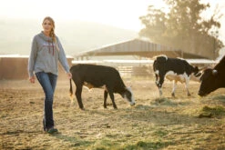 Ariat International Women's REAL Perfect Rise Stretch Rosa Boot Cut Jean -HerraduraDeOro 00000WE8 1