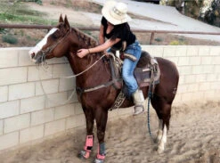 BOTA DE ESTILO ESCARAMUZA PARA DAMA EN COLOR BAYO 24 BOTA DE ESTILO ESCARAMUZA PARA DAMA EN COLOR BAYO -HerraduraDeOro 00000WE 4 ed3d6203 3a55 4982 8356 d8bf6add41b5