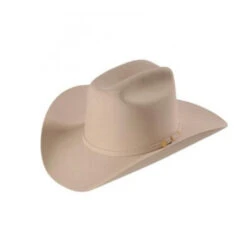 100x El Presidente Stetson Hat - SILVERBELLY