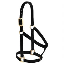 Synergy®Natural Fit Wool Blend Felt Performance Saddle Pad * GIFT WITH PURCHASE * 5 Synergy®Natural Fit Wool Blend Felt Performance Saddle Pad * GIFT WITH PURCHASE * -HerraduraDeOro 3 21f757e7 5030 4ab5 bf80 1282a56c6bf7