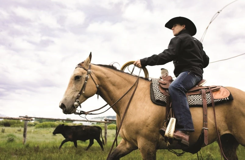 ARIAT MEN'S SWEATSHIRT TEAM LOGO 1/4 TOP 2 ARIAT MEN'S SWEATSHIRT TEAM LOGO 1/4 TOP - Image 2