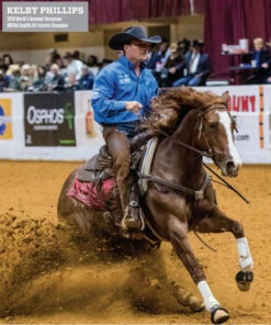 CANILLERAS NEGRAS CLASSIC EQUINE. CLASSIC FIT PROTECTIVE BOOTS. CLASSIC EQUINE. -HerraduraDeOro BOOTS 05112020 ad7a0ad3 54f4 4371 8ae4 549b676fcac9