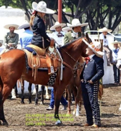 PANTALONES DE CHARRO. AUTHENTIC CHARRO PANTS THAT ARE DARK GRAY COLOR WITH CARROT SUEDE LEATHER STITCHED STENCEIL ART WORK -HerraduraDeOro CHARROPANTS2 02 28 2020 98c9e247 7f55 4de4 a6fd ed85afa0add9