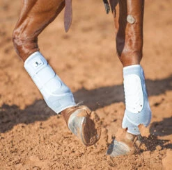 CANILLERAS NEGRAS CLASSIC EQUINE. CLASSIC FIT PROTECTIVE BOOTS. CLASSIC EQUINE. -HerraduraDeOro CLASSICFIT BOOT 09 01 2019 270d2dd2 7b04 4b9c 9482 6f9729c27895