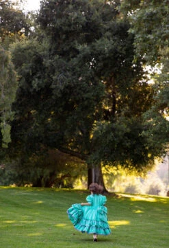 VESTIDO DE ESCARAMUZA DE NINA. ESCARAMUZA DRESS 4-5 YEAR OLD -HerraduraDeOro ESCARAMUZA DRESS 5 07 01 2019