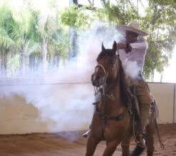 Charro Glove (Manilla De Piales) -HerraduraDeOro GG 1