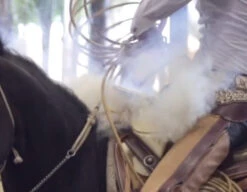 Charro Glove (Manilla De Piales) -HerraduraDeOro GG 2