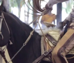 Charro Glove (Manilla De Piales) -HerraduraDeOro GG 4