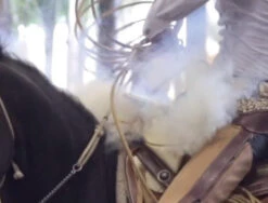 Guantes De Pialadores. Manillas Para Piales. -HerraduraDeOro GU2