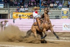 CANILLERAS NEGRAS PROFESSIONAL CHOICE. BLACK SMB COMBO BOOTS