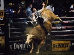 2020 Phoenix Pro Max Adult Rodeo Vest (Black) -HerraduraDeOro P 6 04 19 2019 jpg