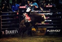 2020 Phoenix Pro Max Adult Rodeo Vest (Black) -HerraduraDeOro P 9 04 19 2019 jpg