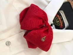 MOŇO DE CHARRO DE NIŇO DE COLOR ROJO. GORGEOUS RED LITTLE KIDS CHARRO TIE -HerraduraDeOro RED MONO KIDS 3 07 08 2019 93198fe2 47a4 4a0f 8b43 f07c7d899662