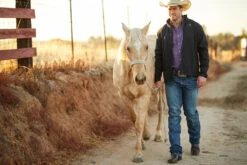 MEN'S Ariat Logo 2.0 Softshell Jacket