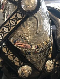 BLACK MEXICAN SADDLE WITH SLIVER EMBROIDERY AND OSTRICH LEATHER -HerraduraDeOro SLIVER AND OSTRICH SADDLE 4 02 01 2019 849d0858 dca8 475a 9167 a6a5048dd983