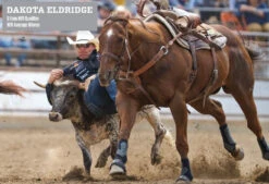 CANILLERAS NEGRAS CLASSIC EQUINE. CLASSIC FIT PROTECTIVE BOOTS. CLASSIC EQUINE. -HerraduraDeOro SP BOOT