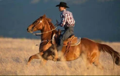 El Presidente Black Stetson 100X Premier Cowboy Hat -HerraduraDeOro STETSON ADD 1 09 10 2019