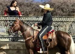 PANTALONES DE CHARRO. AUTHENTIC CHARRO PANTS THAT ARE DARK WINE WITH LIGHT BROWN SUEDE LEATHER STITCHED STENCIL ART WORK -HerraduraDeOro charro pants 1 6828b5eb c849 4b47 a856 896c5c4b71df