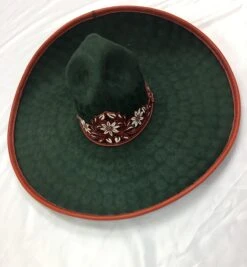 SOMBREROS DE CHARRO. Green Sombrero Charro Hat -HerraduraDeOro image1 1