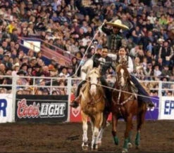 Soga Para Florear . 30FT. ALL WHITE TRICK ROPING ROPE. -HerraduraDeOro image 037de317 b3d6 4433 9023 115def122152