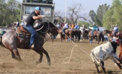 Men's UNDER ARMOUR Tech Polo -HerraduraDeOro image 22bc0f9e 4e3d 4c68 8d45 8b8d942c516b