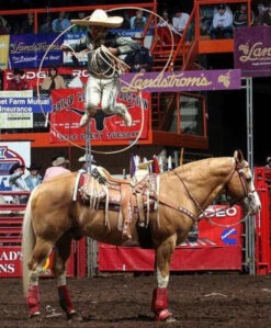 Soga Para Florear . 30FT. ALL WHITE TRICK ROPING ROPE. -HerraduraDeOro image 26180369 9cbd 42b7 89c4 8cd582a738bd