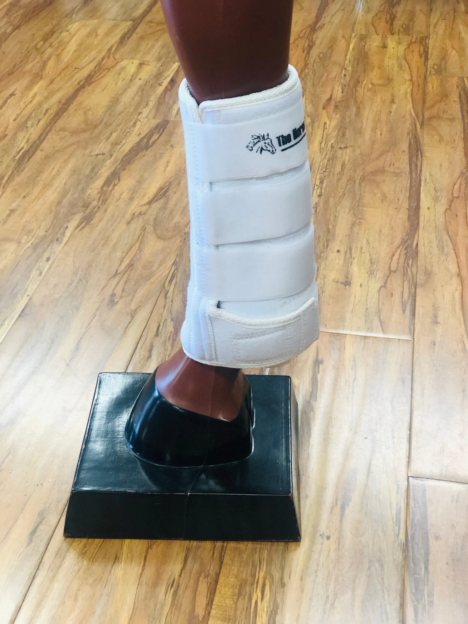 CANILERAS DE CABALLO COLOR BLANCAS PARA CABALLOS DE NEOPRENE.SE CIERRA CON VELCRO 3 CANILERAS DE CABALLO COLOR BLANCAS PARA CABALLOS DE NEOPRENE.SE CIERRA CON VELCRO - Image 3