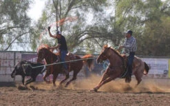 Men's UNDER ARMOUR Tech Polo -HerraduraDeOro image 3ea64afa 0e68 40bf 8f60 f5e3b25b7507