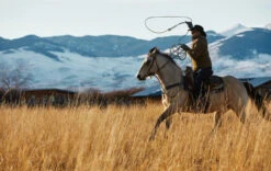 COTTON RANCH 2 ROPES $97.99. REATA DE ALGODON DE RANCHO -HerraduraDeOro image 406e731c 7b88 461b 86d6 7dbe72c93514