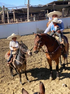 CAMISOLOA CHARRA COLOR VINO DE NIŇO.WINE COLOR KIDS CHARRO SHIRT -HerraduraDeOro image 5a126a74 8dcc 4ad2 b67a 1b8fa900a826