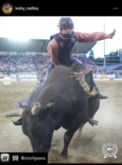 2020 Phoenix Pro Max Adult Rodeo Vest (Black) -HerraduraDeOro image 6960bd83 77f0 4da0 86d7 729f264e25af