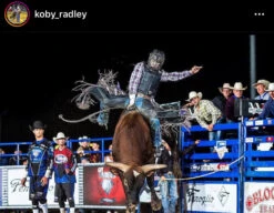 2020 Phoenix Pro Max Adult Rodeo Vest (Black) -HerraduraDeOro image 6a8ee887 ee6a 4b07 bdaa 6be2413ef911