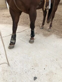 CANILLERAS NEGRAS TOUGH -1 MEDIANAS.TOUGH - 1 EXTREME VENTED SPORT BOOTS MEDIUMS -HerraduraDeOro image 718fafc4 7d88 4b63 83c5 eae41088e768