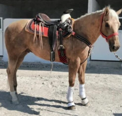CANILLERAS DE CABALLO BLANCAS PROFESSIONAL CHOICE. WHITE SMB COMBO BOOTS -HerraduraDeOro image dc82486f 8680 4996 b860 199022d1c874