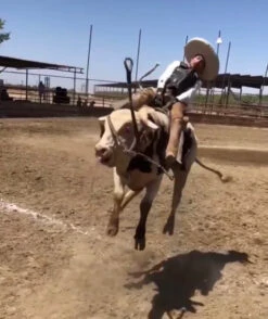 2020 Phoenix Pro Max Adult Rodeo Vest (Black) -HerraduraDeOro image dcc25a6c 381a 4c15 9467 e768119f2231