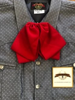 MOŇO DE CHARRO DE SEDA DE COLOR ROJO. GORGEOUS RED SILK CHARRO TIE -HerraduraDeOro image f9a59ac9 ce87 4854 b4cc c52834bc1a9d
