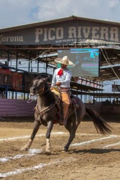 MOŇO DE CHARRO DE SEDA DE COLOR ROJO. GORGEOUS RED SILK CHARRO TIE